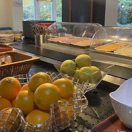 Brithotel Nancy Sud Luneville *