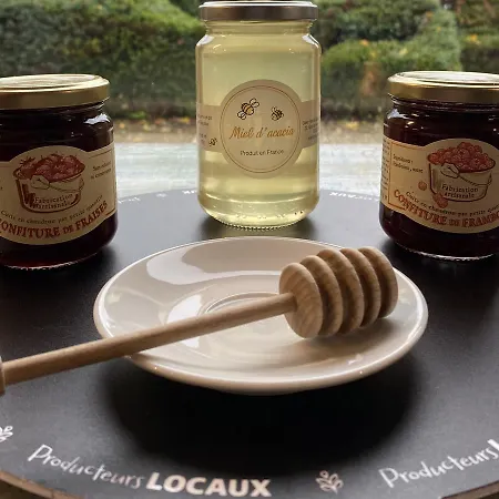 Brithotel Nancy Sud Luneville Hotel