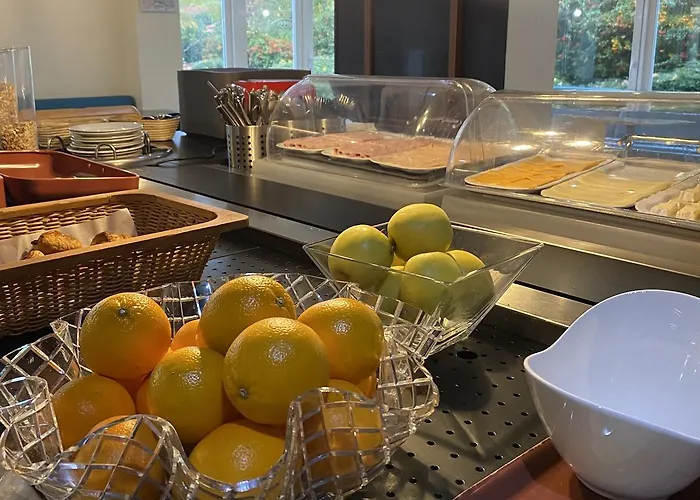 Brithotel Nancy Sud Luneville *