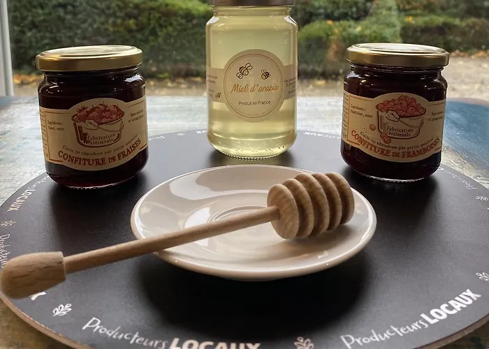 Brithotel Nancy Sud Luneville Hotel